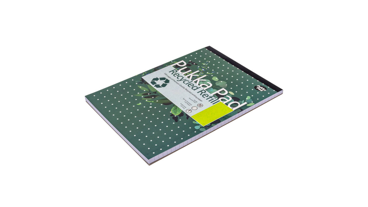 Schrijfblok Pukka Pad Recycled A4 lijn 4-gaats 100 vel 80gr
