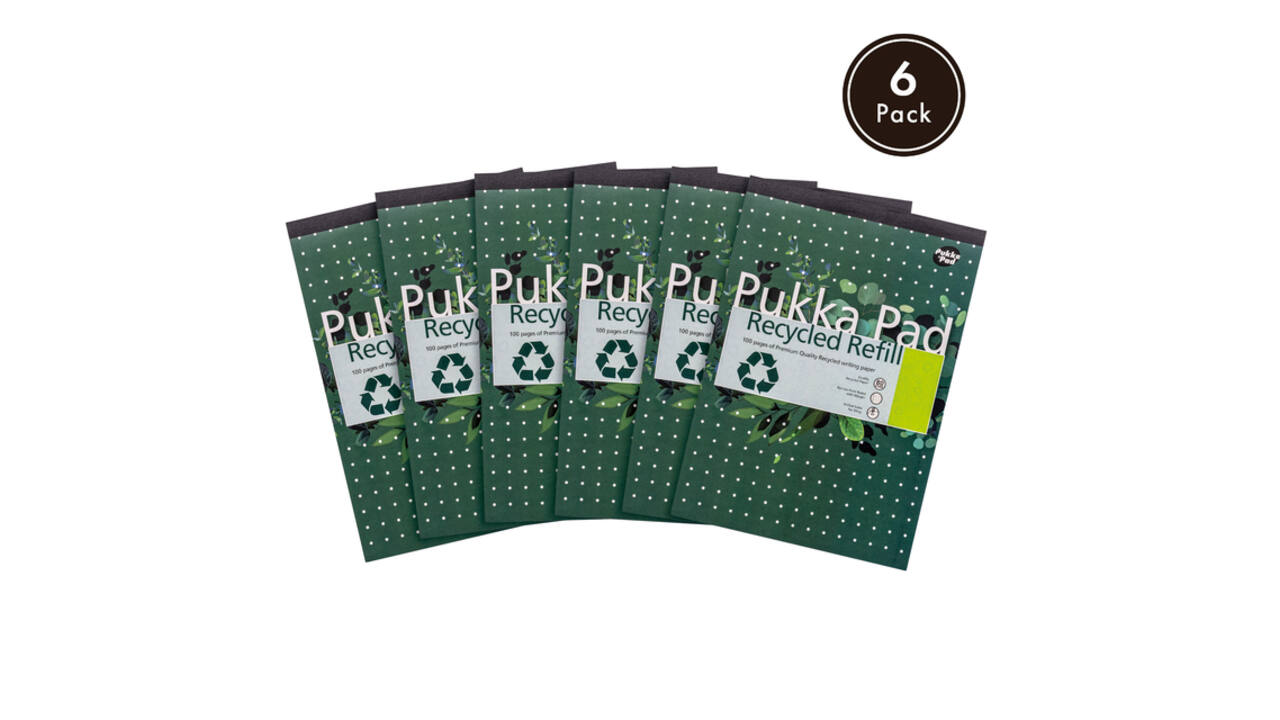 Schrijfblok Pukka Pad Recycled A4 lijn 4-gaats 100 vel 80gr