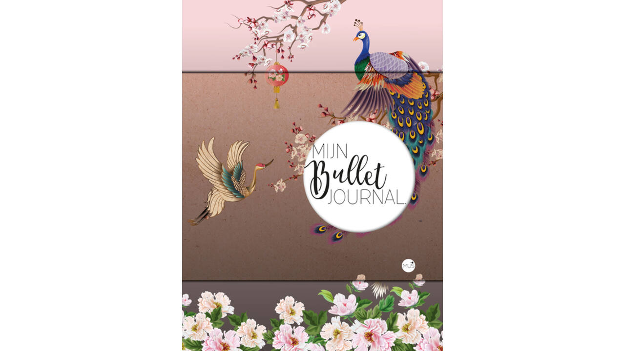 Mijn Bullet Journal Japan 240 dots 240 pagina's