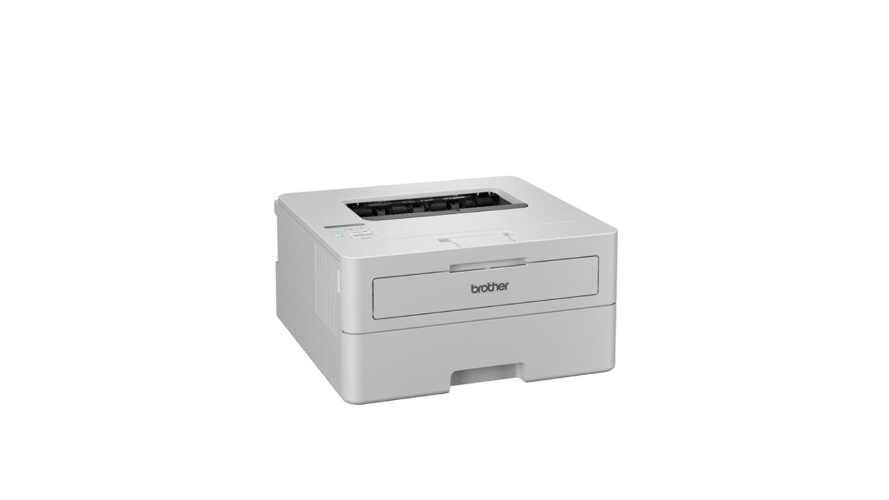 Printer Laser Brother HL-L2865DW