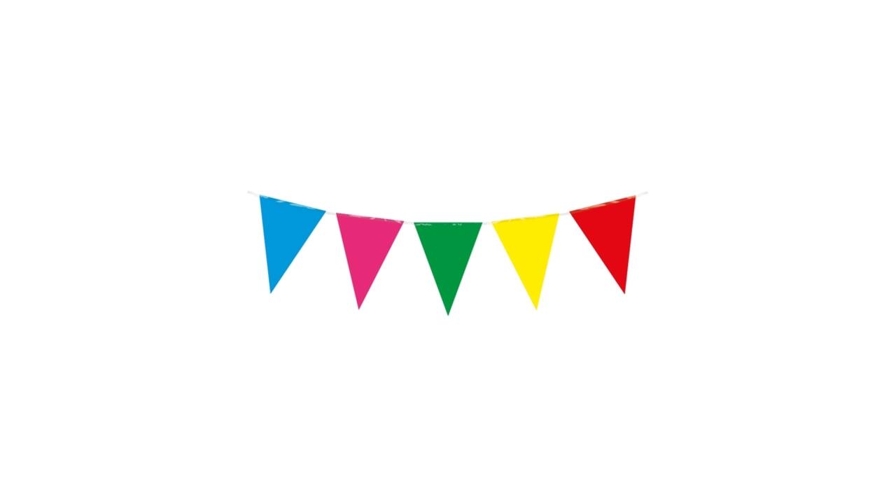 Party Flag PE Multi Colour