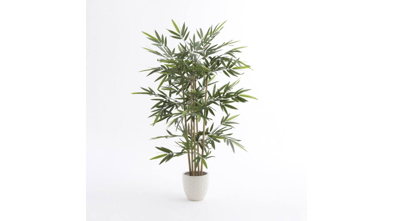 Kunstplant Mica Bamboe in plastic pot 150x75cm