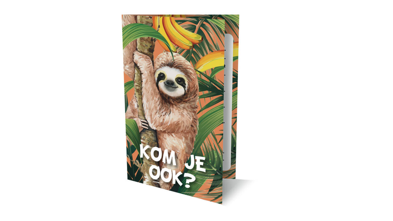 Luiaard uitnodiging PK 937 Interstat
