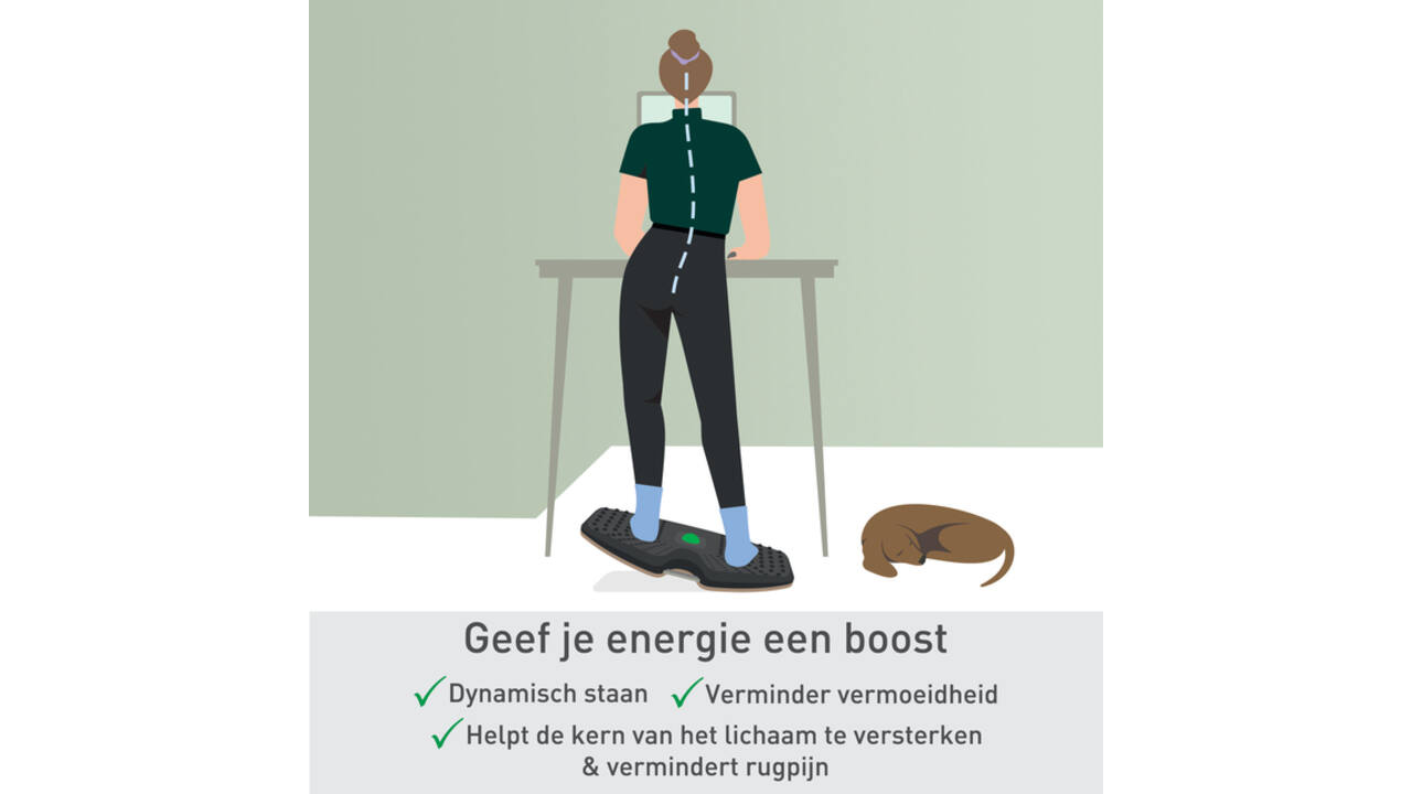 Balansbord Leitz Ergo actief
