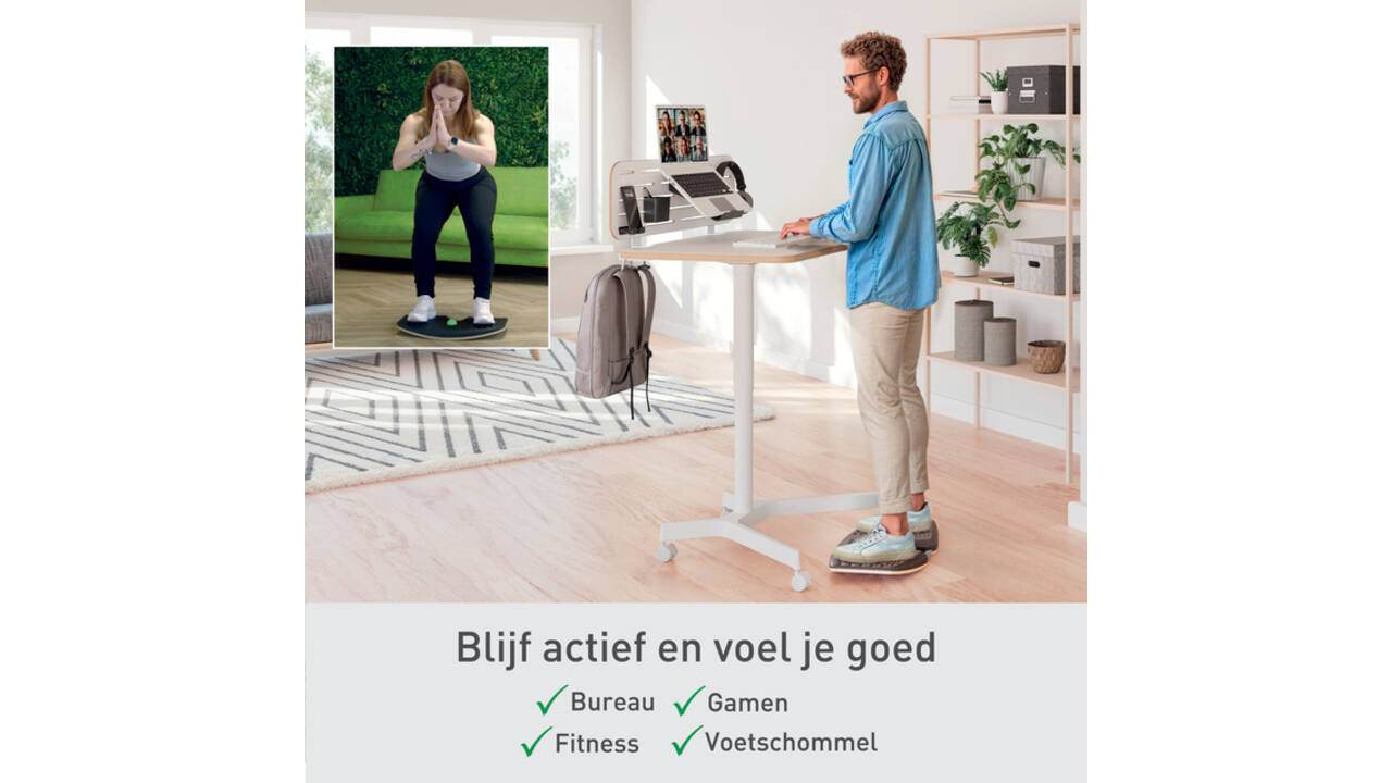 Balansbord Leitz Ergo actief