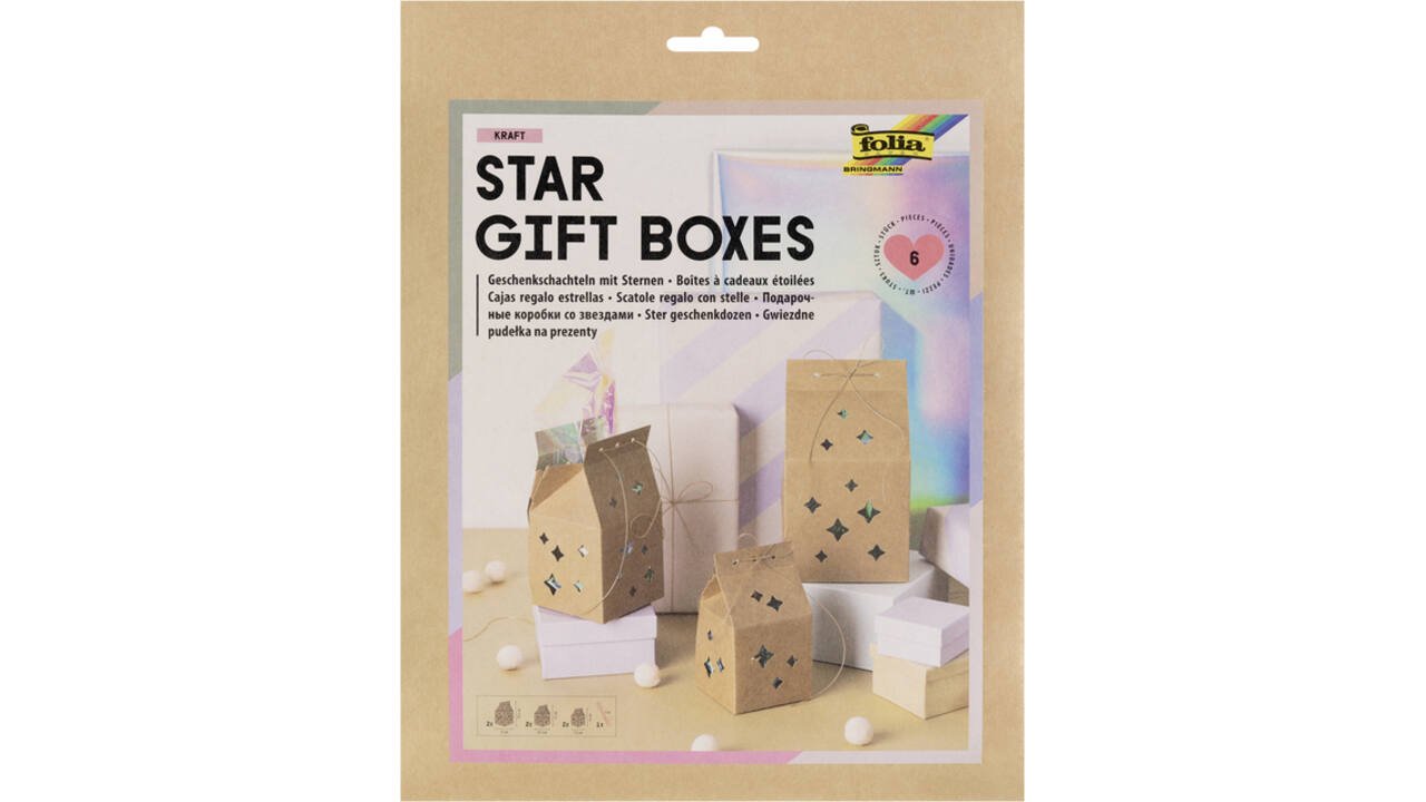 Giftbox Folia Star kraft set à 6 stuks