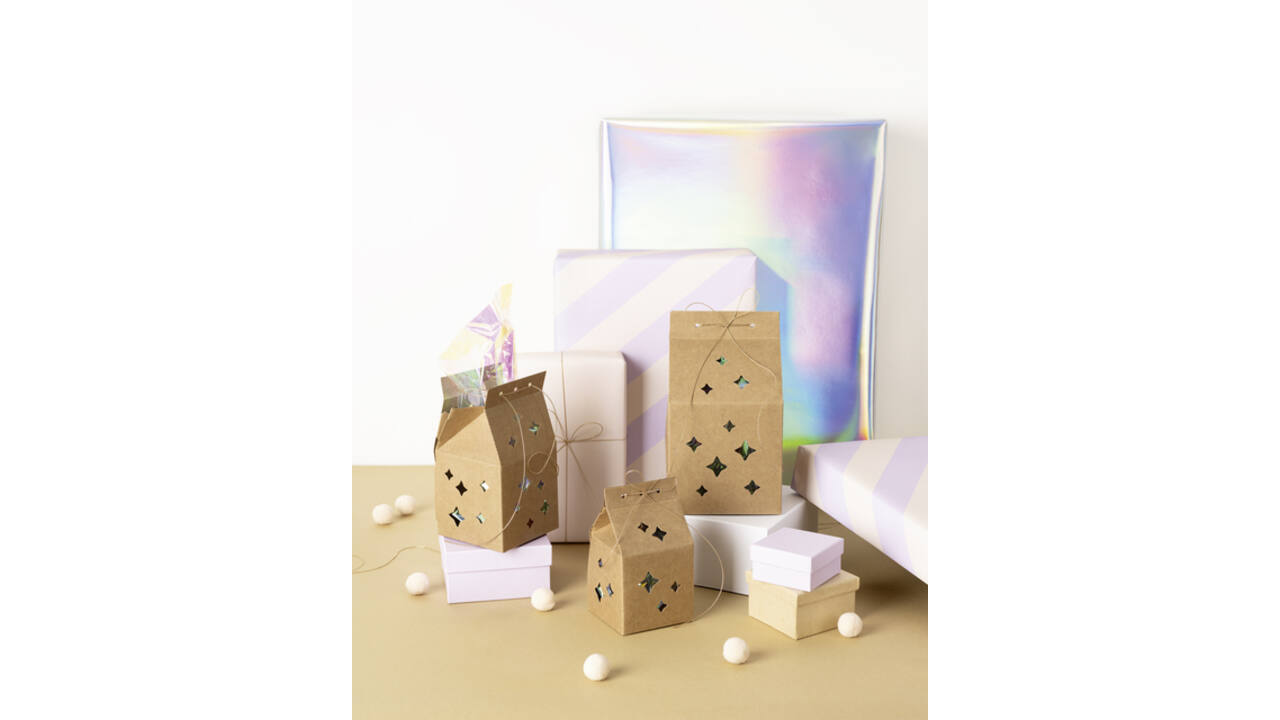 Giftbox Folia Star kraft set à 6 stuks