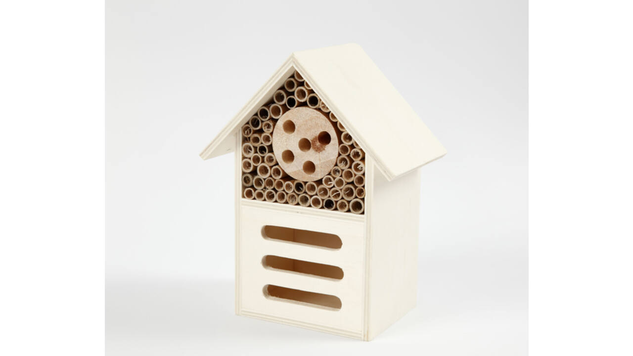 Insecten- en vlinder hotel Creativ Company hout