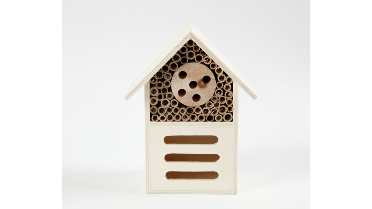 Insecten- en vlinder hotel Creativ Company hout