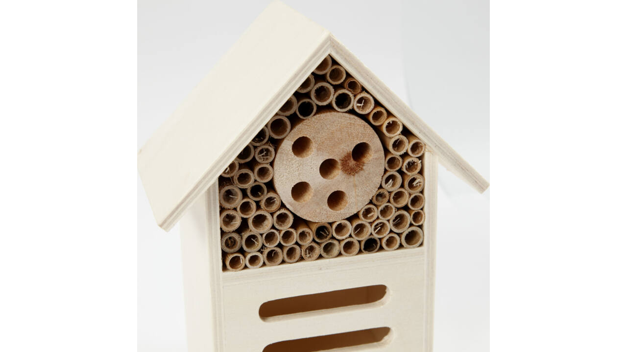 Insecten- en vlinder hotel Creativ Company hout