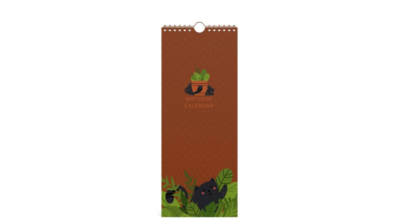 Verjaardagskalender Lannoo 130x325 Cats