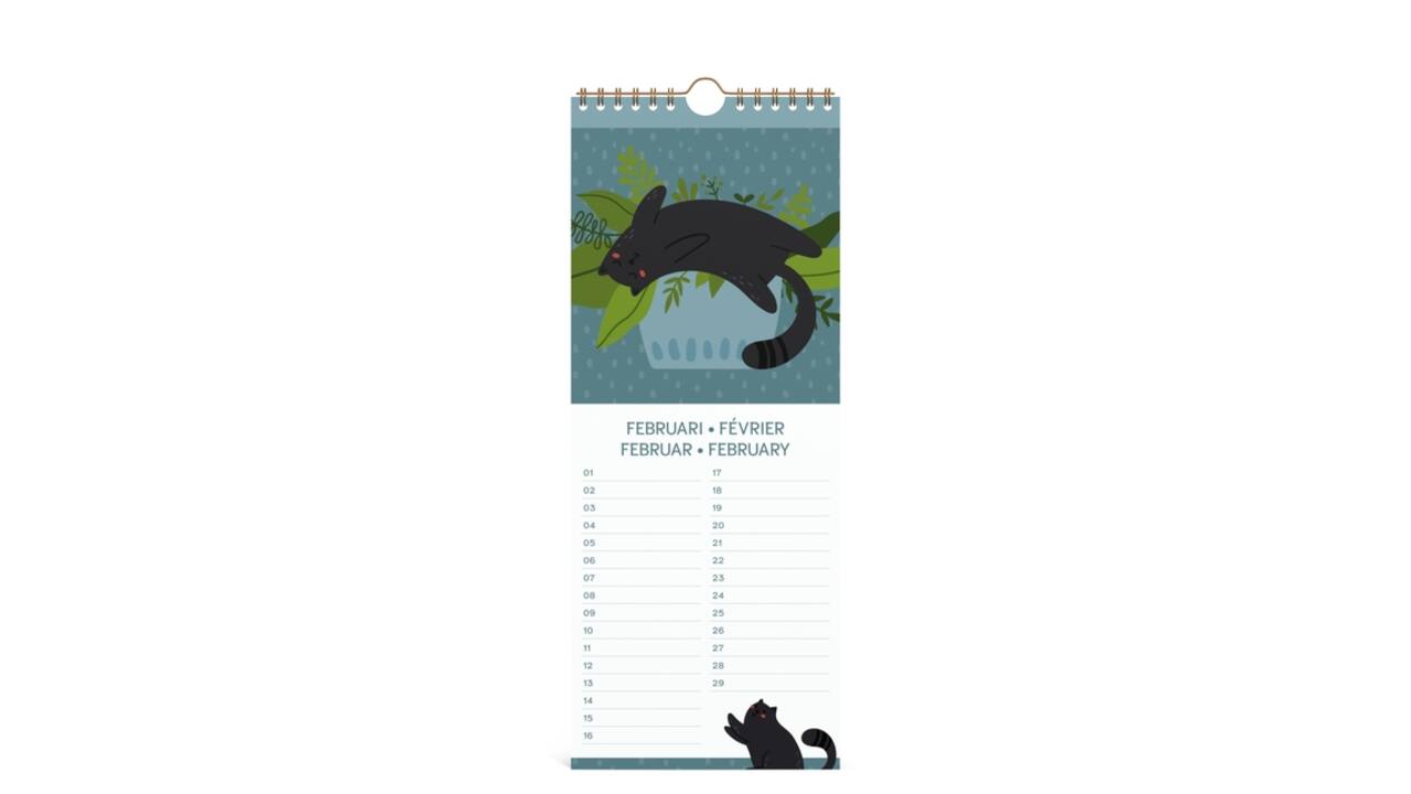 Verjaardagskalender Lannoo 130x325 Cats