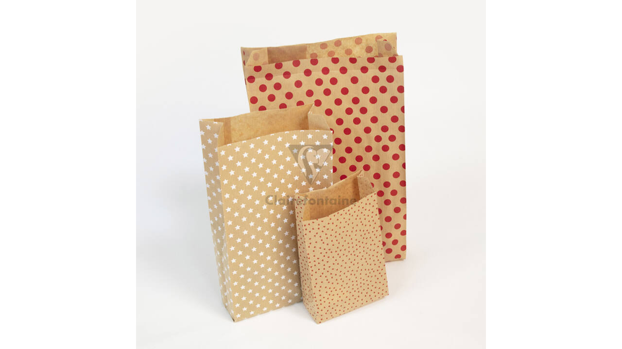 Cadeauzak Clairefontaine16x30x5cm kraft sterren 50 stuks
