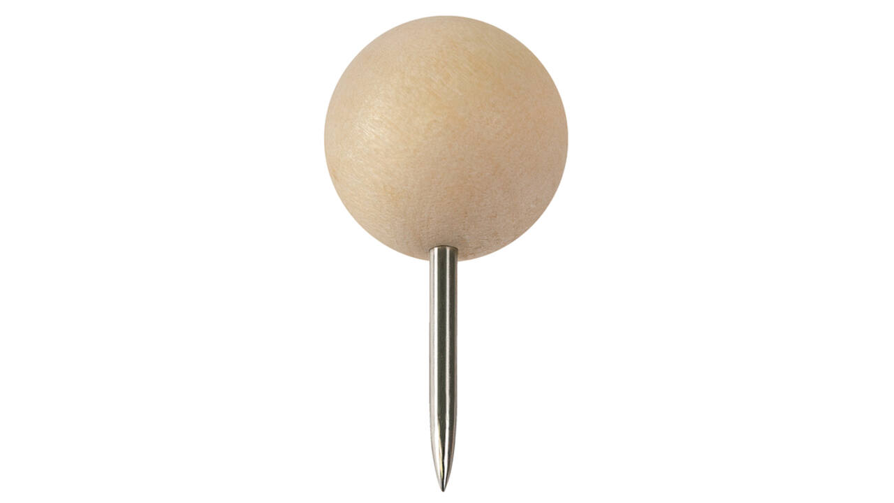 Punaises Nobo hout voor memobord 40 stuks