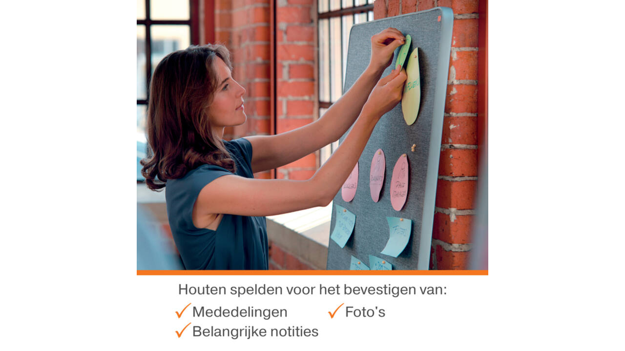 Punaises Nobo hout voor memobord 40 stuks