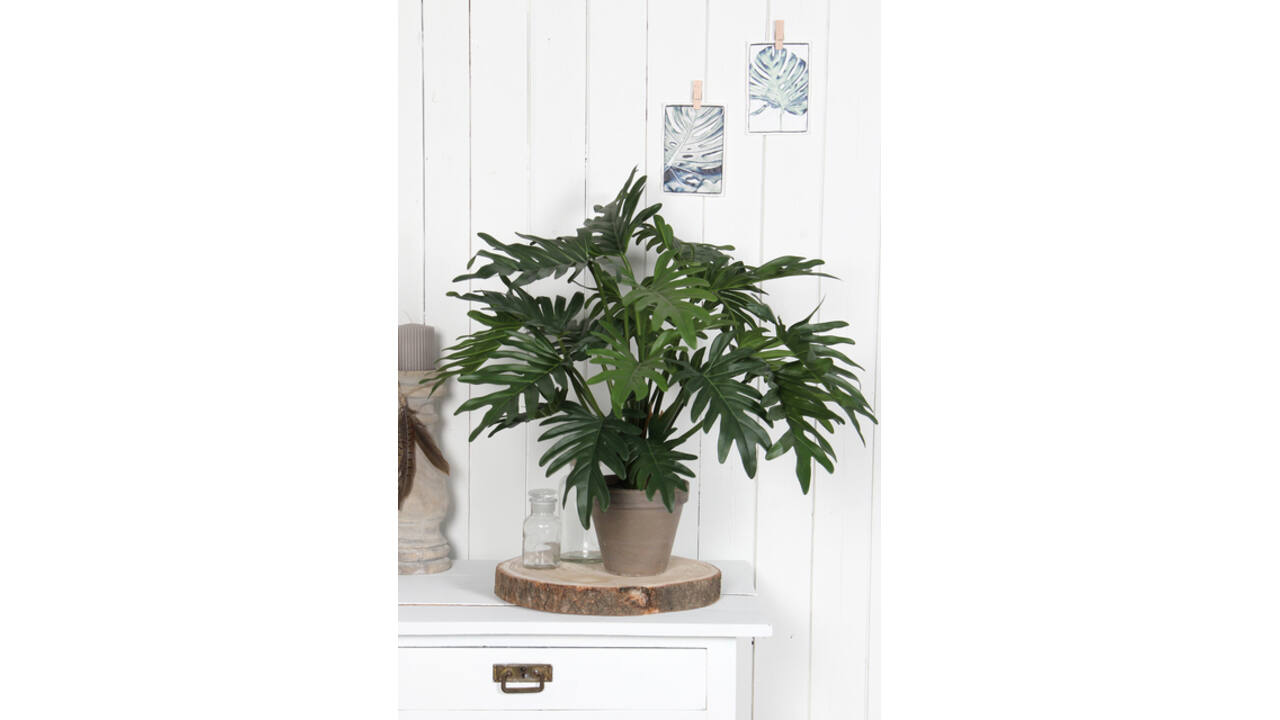 Kunstplant Mica Philodendron selloum groen in pot Ø60cm 50cm