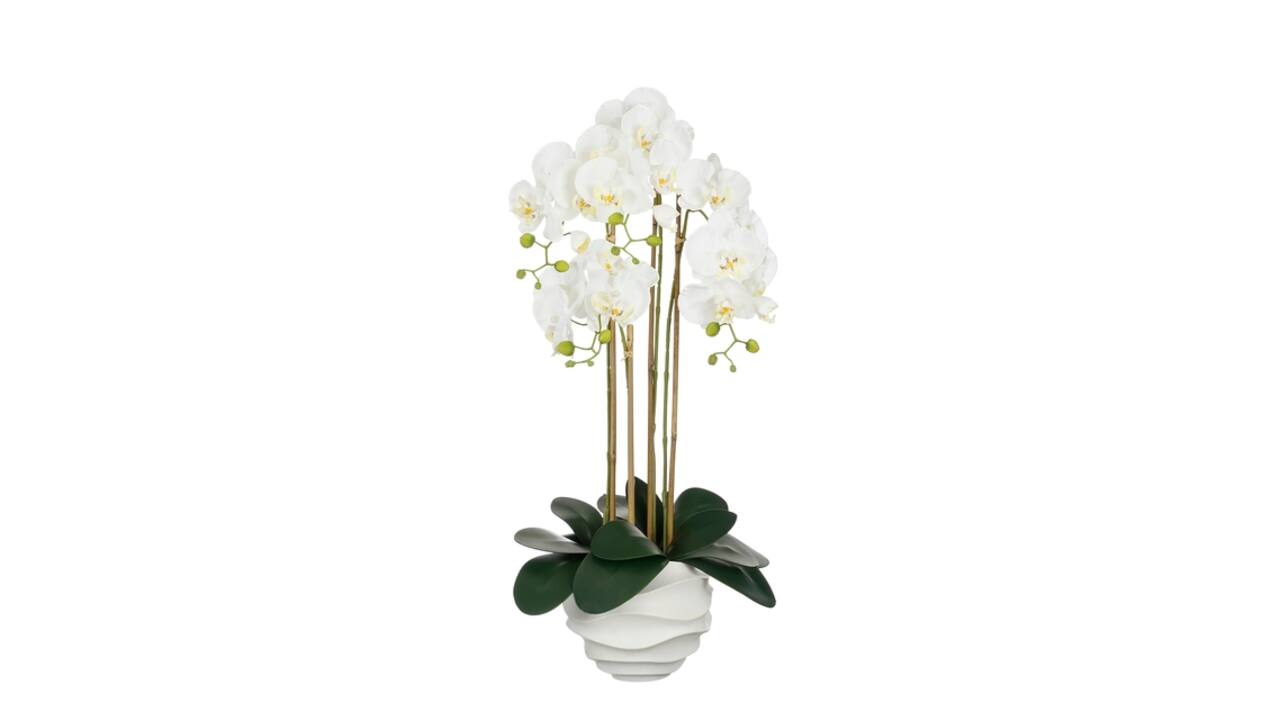 Kunstplant Mica Phalaenopsis in pot wit 40x34x82cm