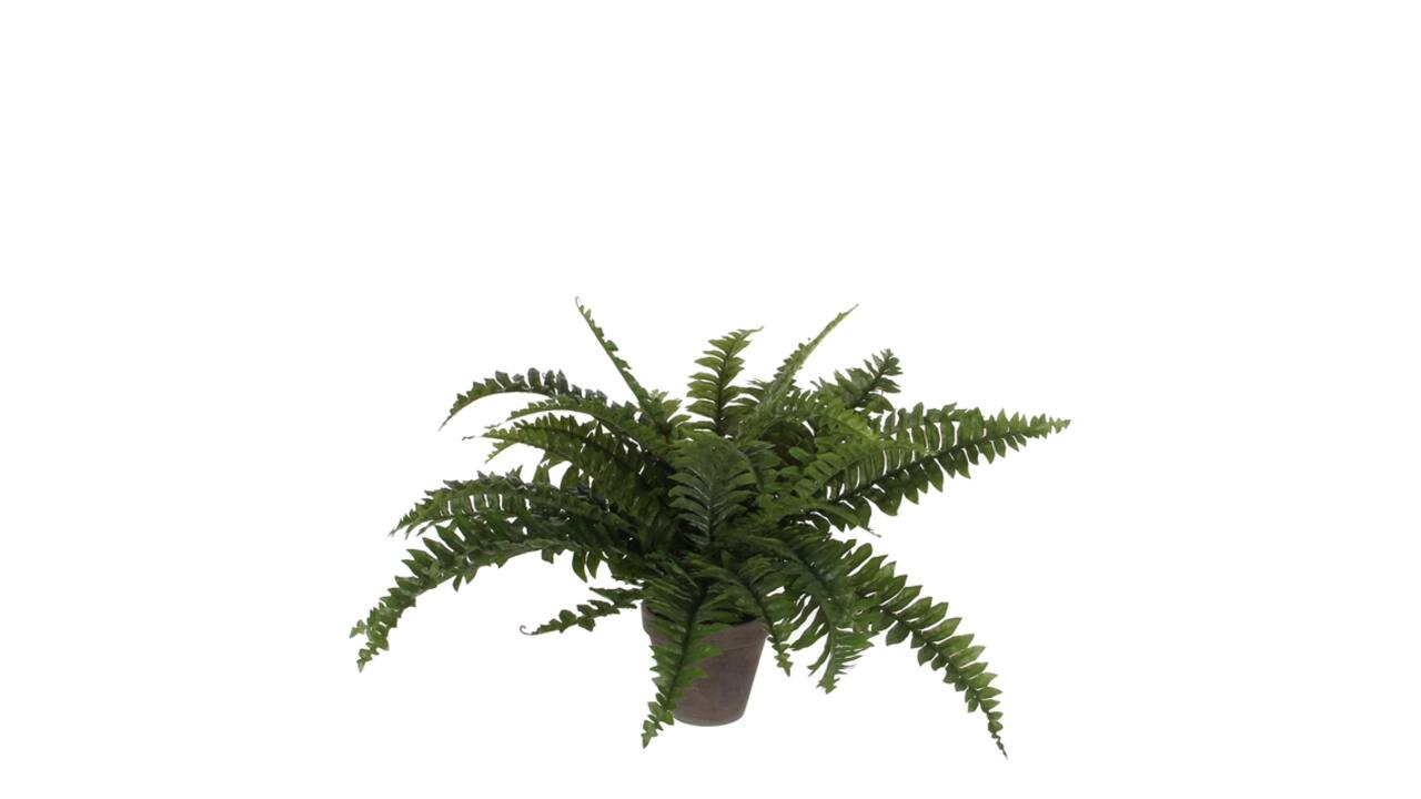 Kunstplant Mica Boston varen groen in pot Ø50cm 42cm