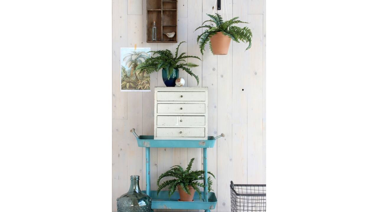 Kunstplant Mica Boston varen groen in pot Ø50cm 42cm
