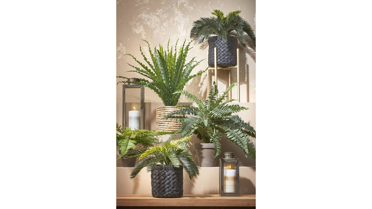 Kunstplant Mica Boston varen groen in pot Ø50cm 42cm
