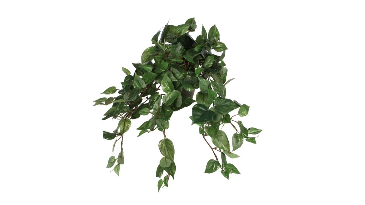 Kunstplant Mica Scindapsus hangend groen Ø25 45cm