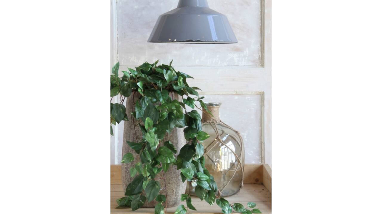 Kunstplant Mica Scindapsus hangend groen Ø25 45cm