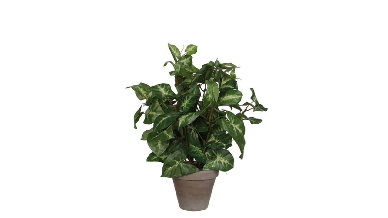 Kunstplant Mica Syngonium groen in pot Ø25 35cm