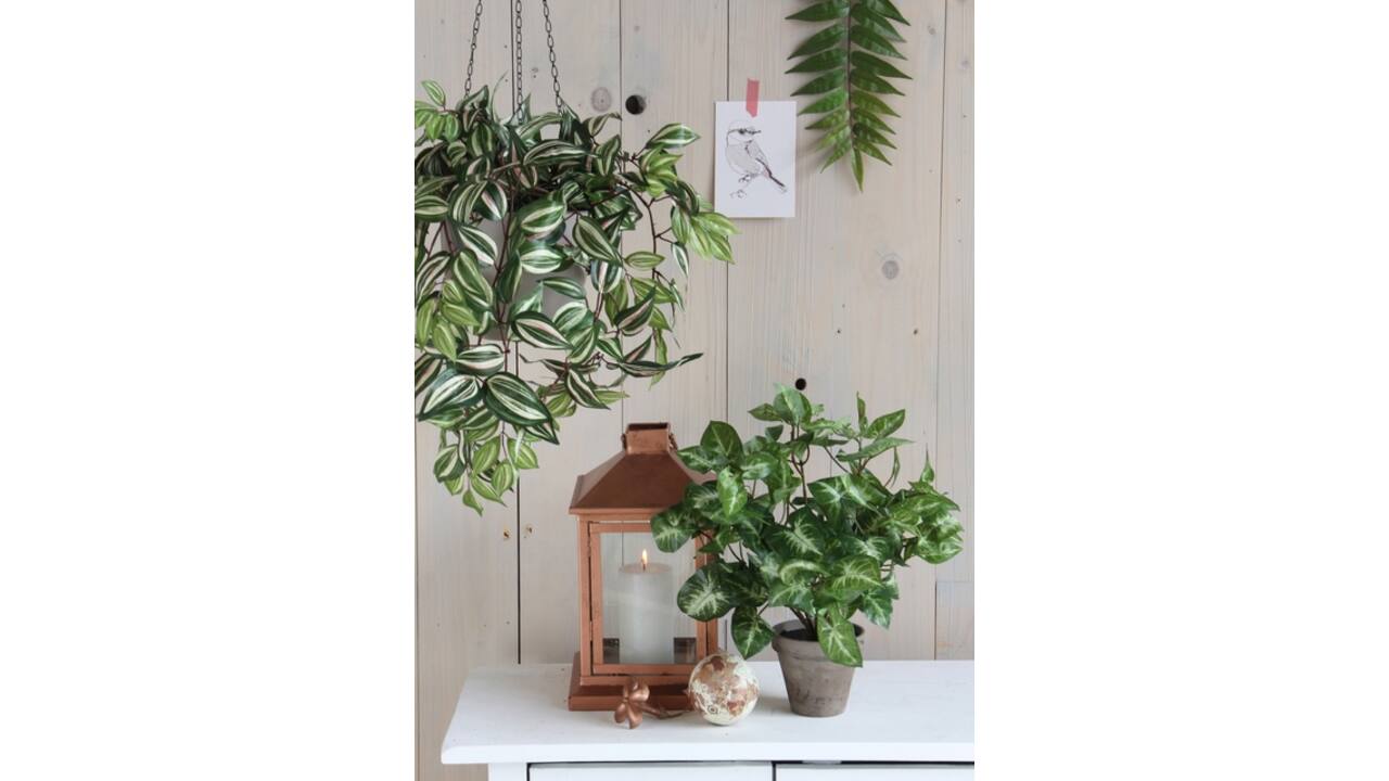 Kunstplant Mica Syngonium groen in pot Ø25 35cm
