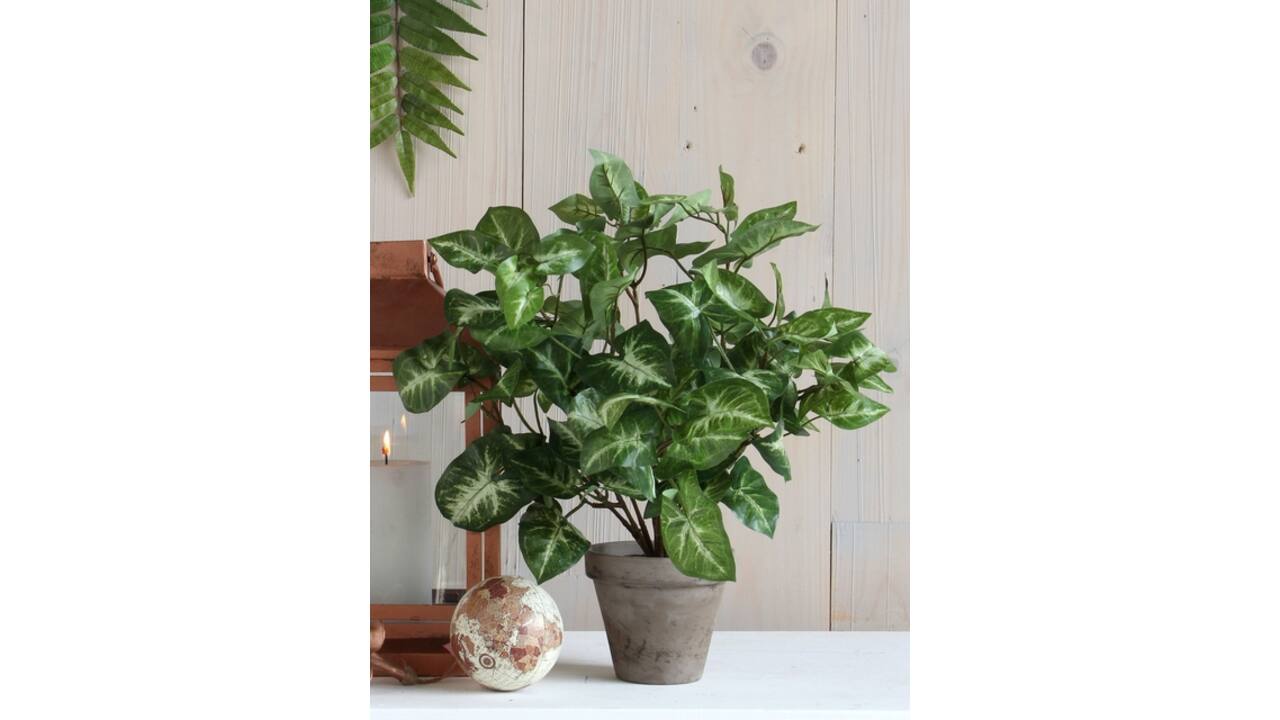 Kunstplant Mica Syngonium groen in pot Ø25 35cm