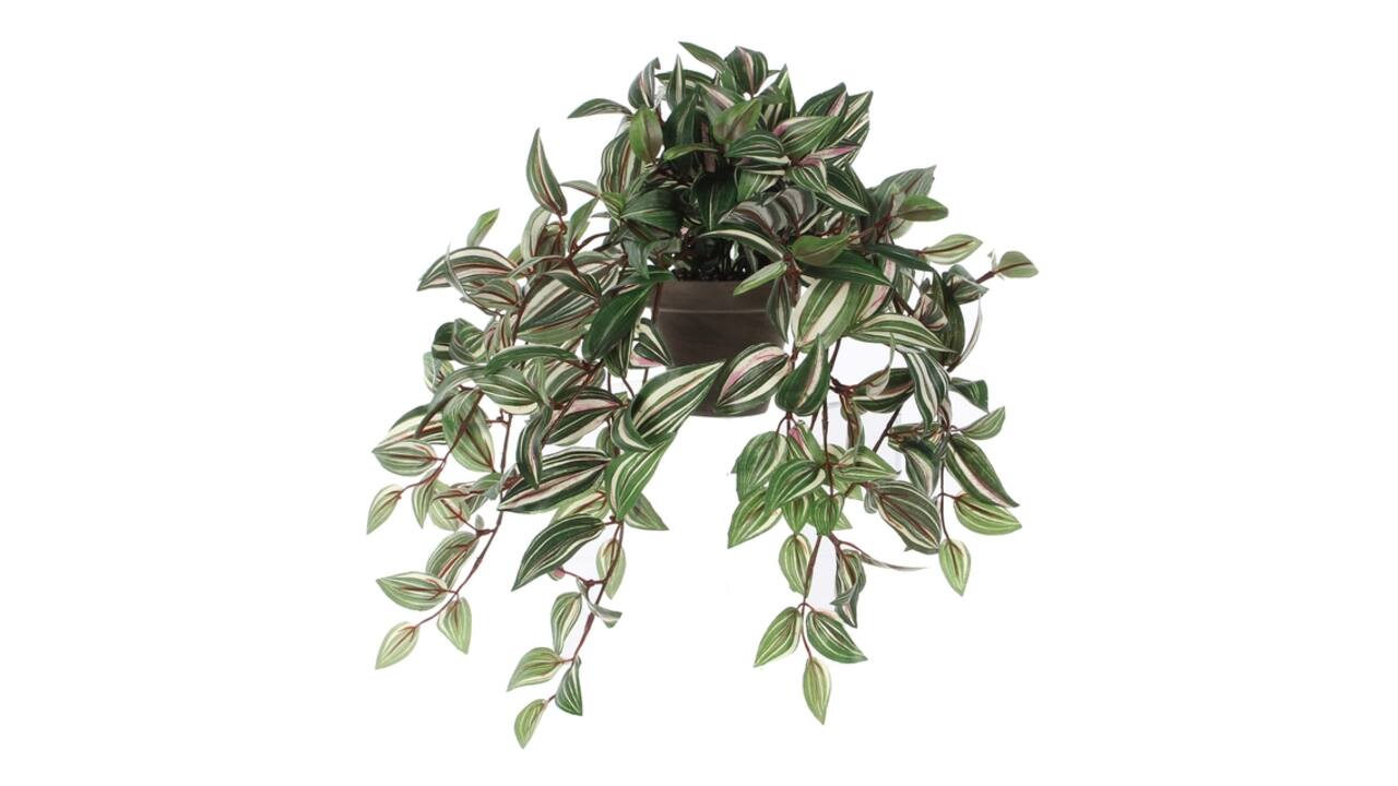 Kunstplant Mica Tradescantia hangend groen Ø25 45cm