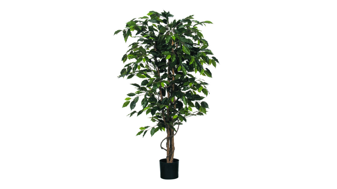 Kunstplant Mica Ficus groen in plastic pot Ø85 150cm