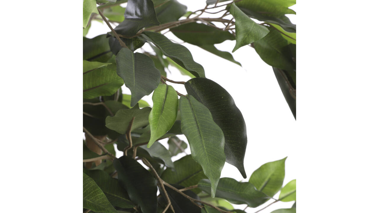 Kunstplant Mica Ficus groen in plastic pot Ø85 150cm