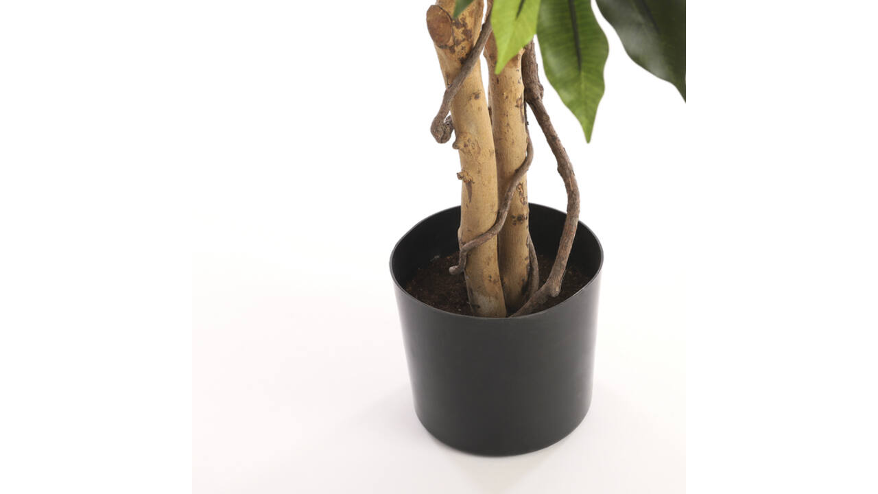 Kunstplant Mica Ficus groen in plastic pot Ø85 150cm