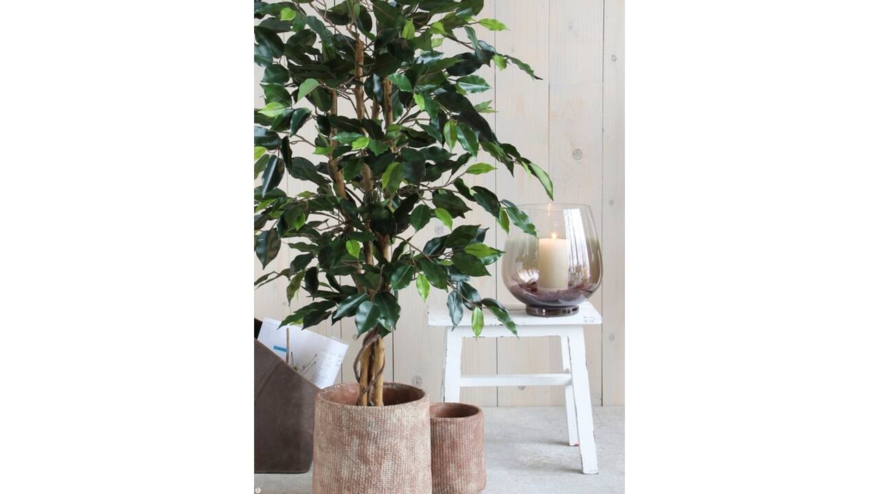 Kunstplant Mica Ficus groen in plastic pot Ø85 150cm