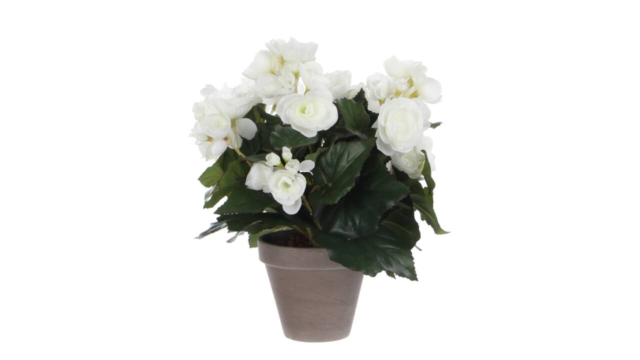 Kunstplant Mica Begonia wit in pot Stan grijs Ø25 30cm