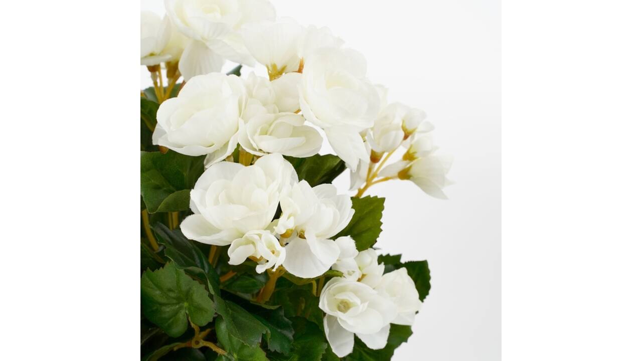 Kunstplant Mica Begonia wit in pot Stan grijs Ø25 30cm