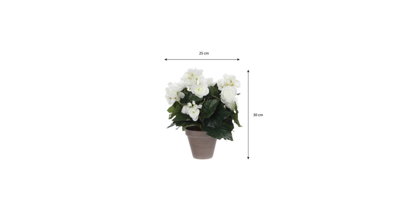 Kunstplant Mica Begonia wit in pot Stan grijs Ø25 30cm