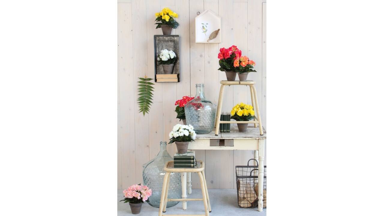 Kunstplant Mica Begonia wit in pot Stan grijs Ø25 30cm