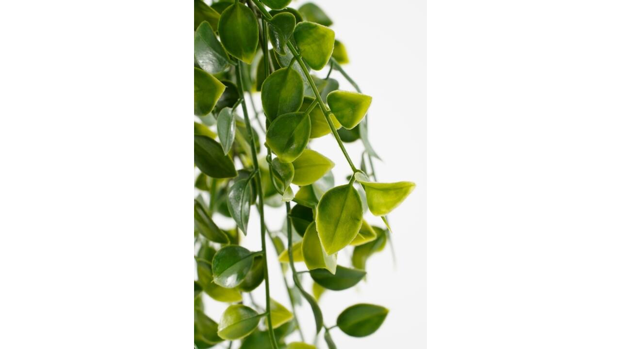 Kunstplant Mica Ficus hangend in pot groen Ø20 46cm