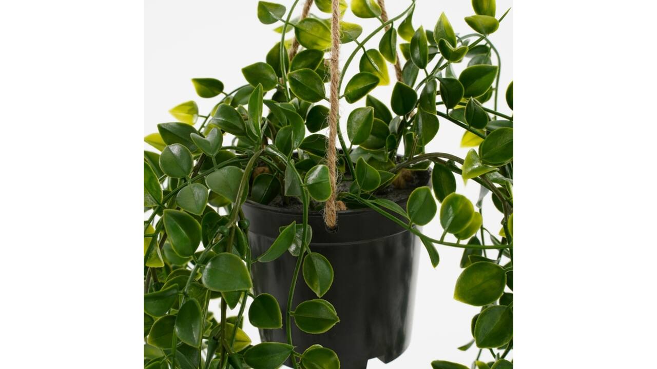 Kunstplant Mica Ficus hangend in pot groen Ø20 46cm