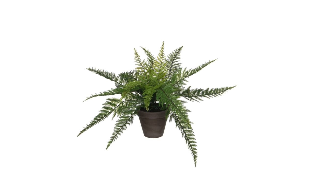 Kunstplant Mica varen groen in pot Stan grijs Ø50 38cm