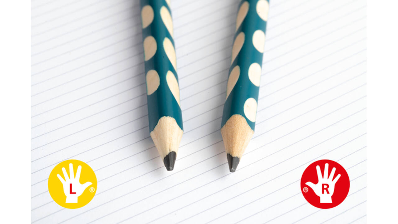 Potlood STABILO Easygraph grafiet 321 HB classpack à 48 stuks