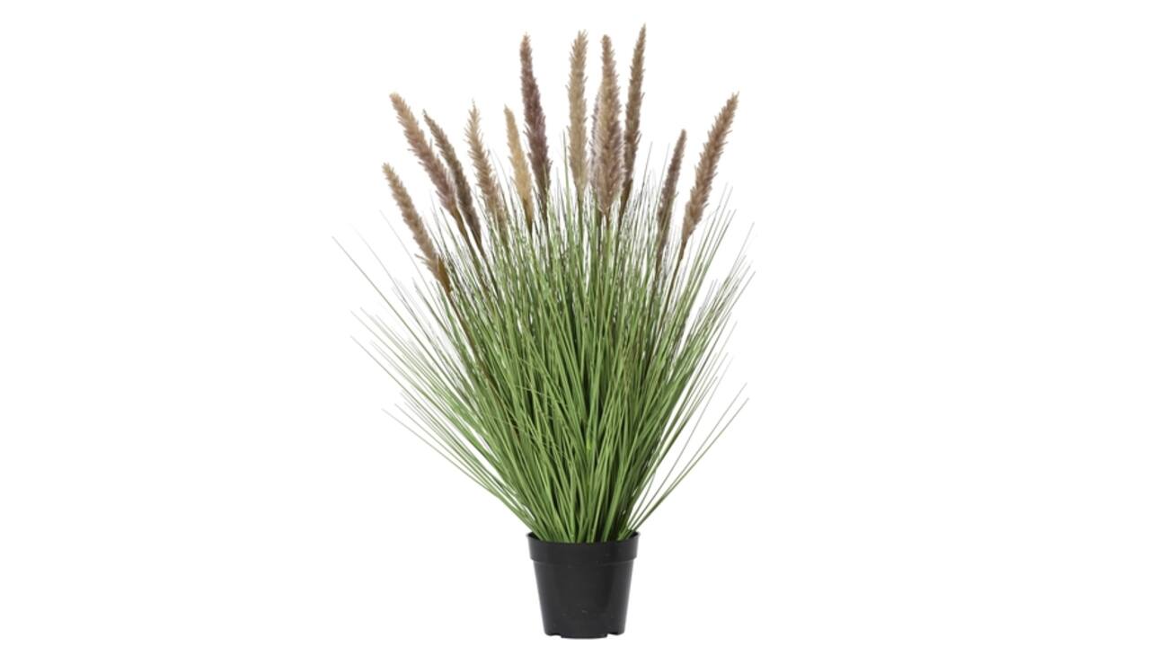Kunstgras Everlands met pluimen bruin 80cm in pot pvc