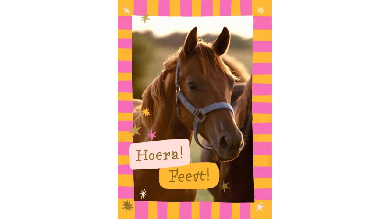 Wenskaart Hallmark uitnodiging paarden pak à 6 stuks