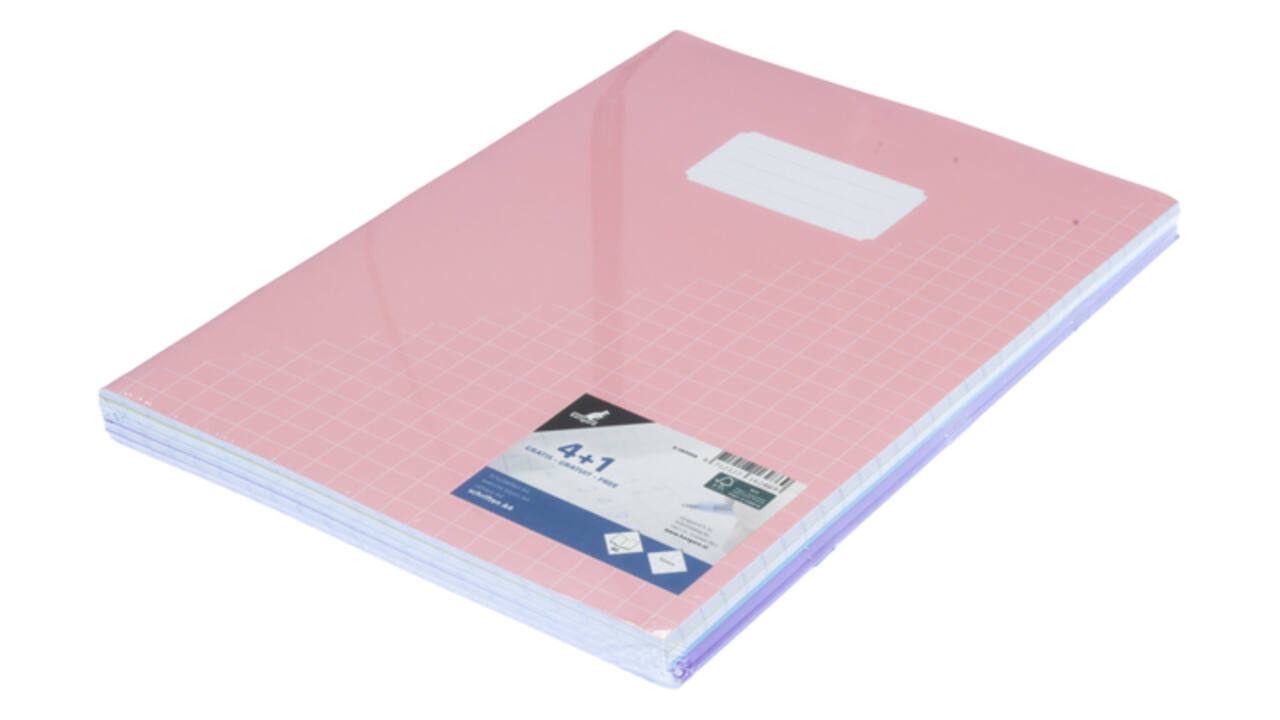 Schrift Kangaro A4 ruit 10mm 80pagina's 60gr pastel assorti 5 stuks