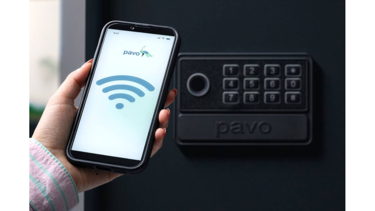 Sleutelkast Pavo High security Smart 50 haken 550x380x100mm