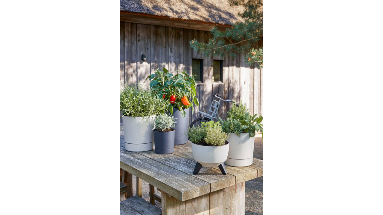 Plantenpot Mica Coco met schotel rond hoogte 29,5 Ø28 cm grijs