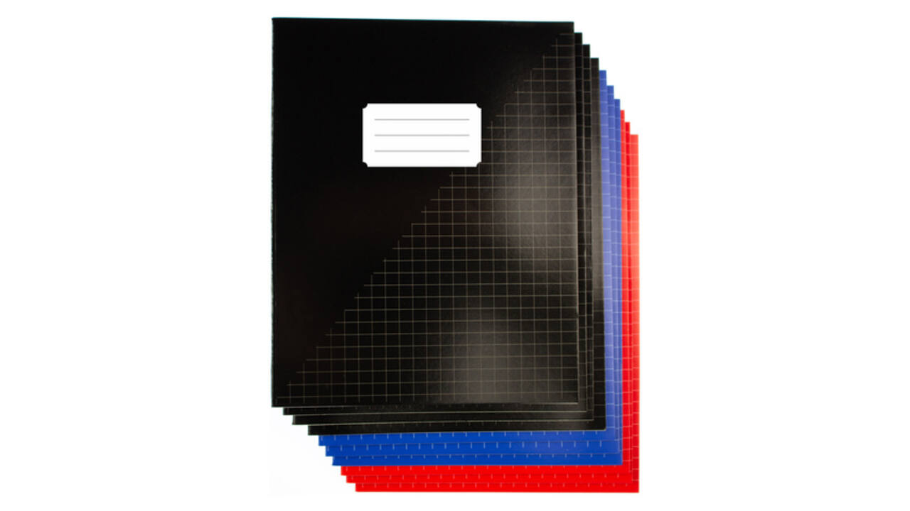 Schrift Kangaro A5 ruit 10mm 80 pagina's 60 gram assorti 10 stuks