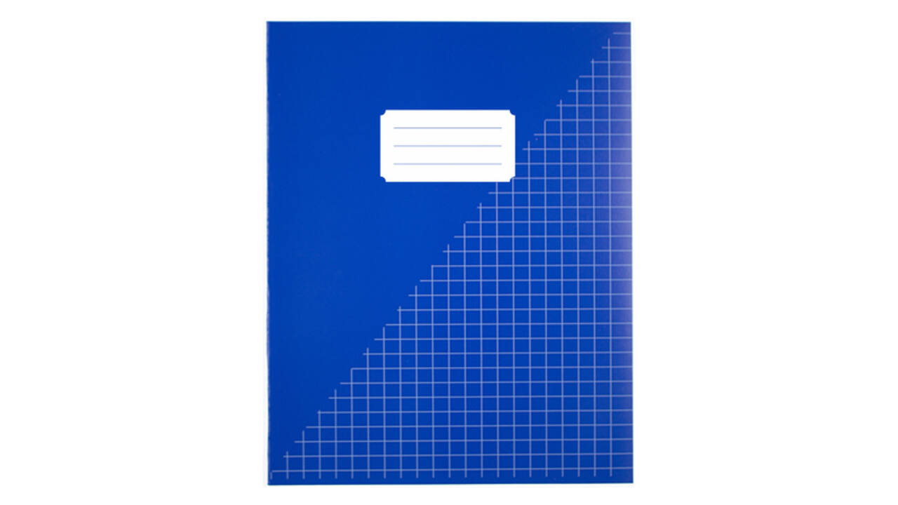 Schrift Kangaro A5 ruit 10mm 80 pagina's 60 gram assorti 10 stuks