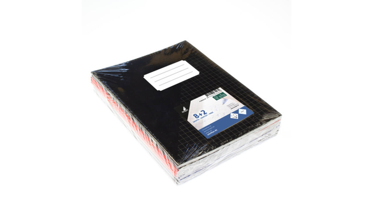 Schrift Kangaro A5 ruit 10mm 80 pagina's 60 gram assorti 10 stuks